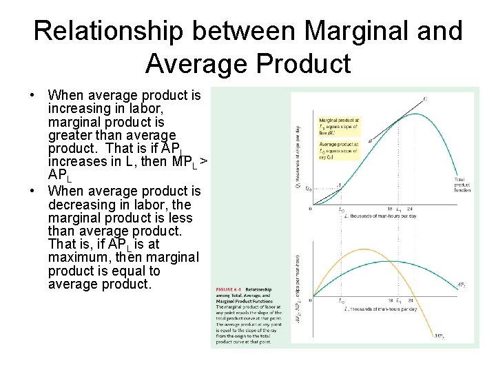 Relationship between Marginal and Average Product • When average product is increasing in labor,