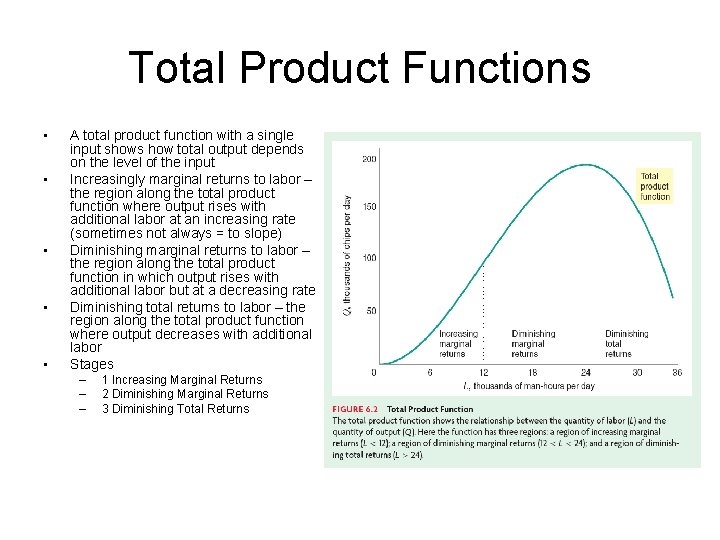 Total Product Functions • • • A total product function with a single input