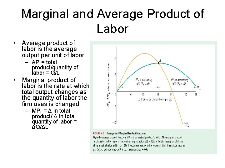 Marginal and Average Product of Labor • Average product of labor is the average