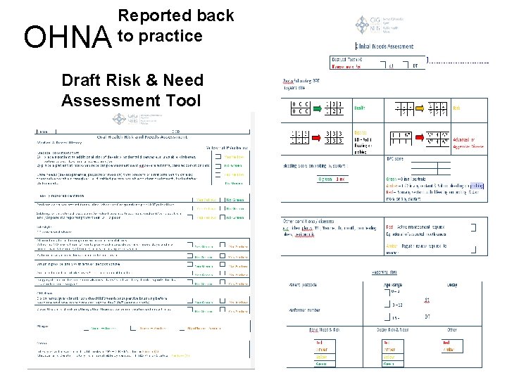 OHNA Reported back to practice Draft Risk & Need Assessment Tool 