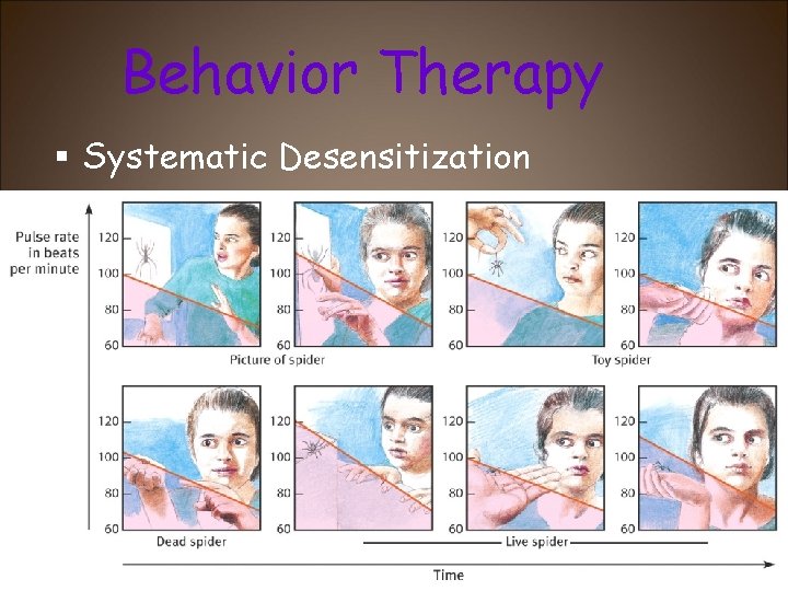 Behavior Therapy Systematic Desensitization 