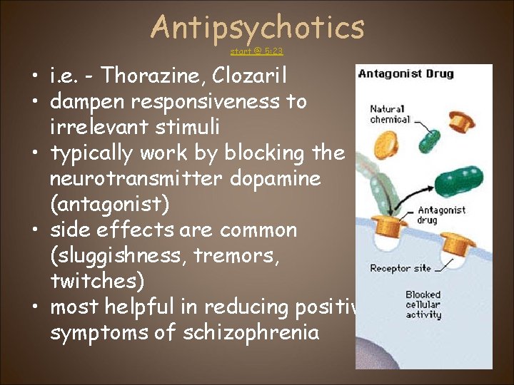 Antipsychotics start @ 5: 23 • i. e. - Thorazine, Clozaril • dampen responsiveness