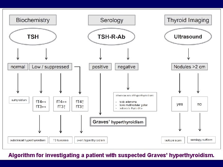 Algorithm for investigating a patient with suspected Graves’ hyperthyroidism. 
