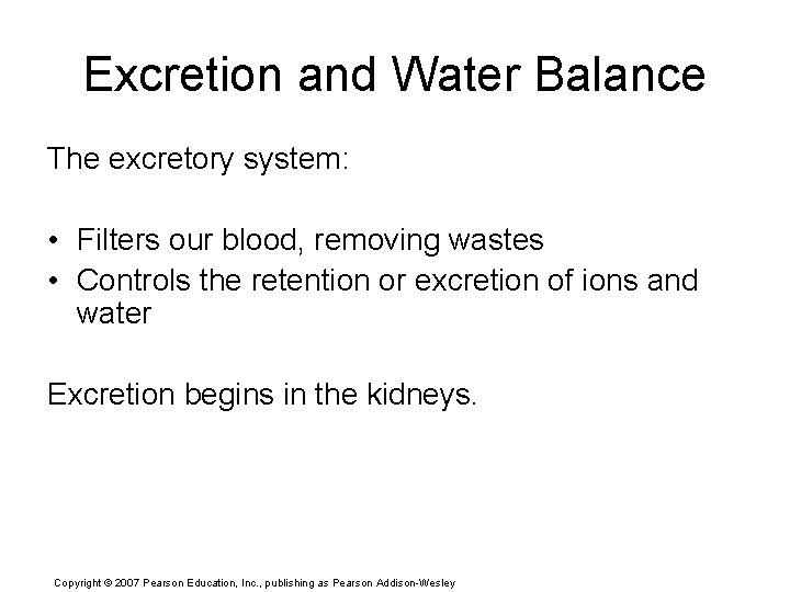 Excretion and Water Balance The excretory system: • Filters our blood, removing wastes •