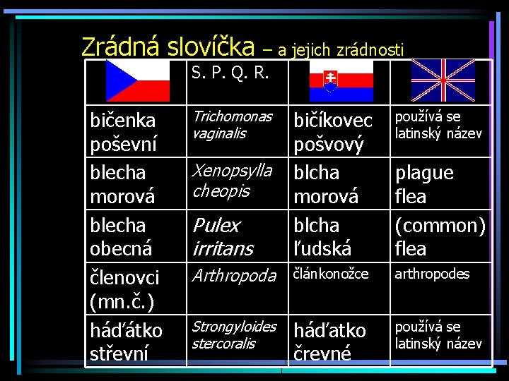 Zrádná slovíčka – a jejich zrádnosti S. P. Q. R. bičenka poševní blecha morová