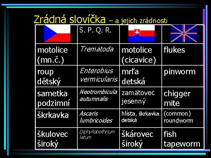 Zrádná slovíčka – a jejich zrádnosti S. P. Q. R. motolice (mn. č. )