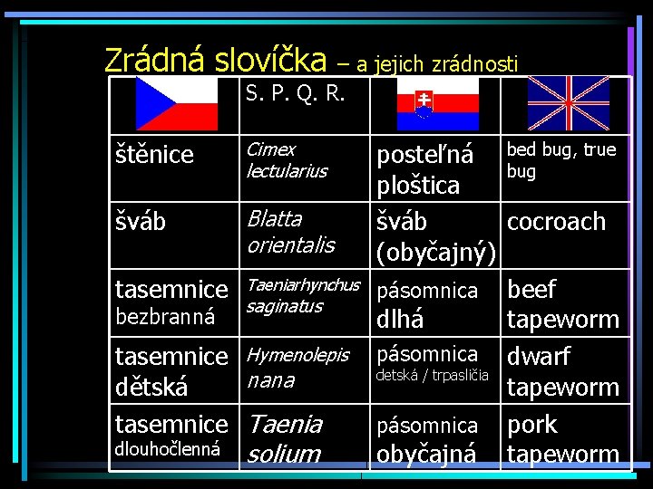 Zrádná slovíčka – a jejich zrádnosti S. P. Q. R. štěnice Cimex lectularius šváb