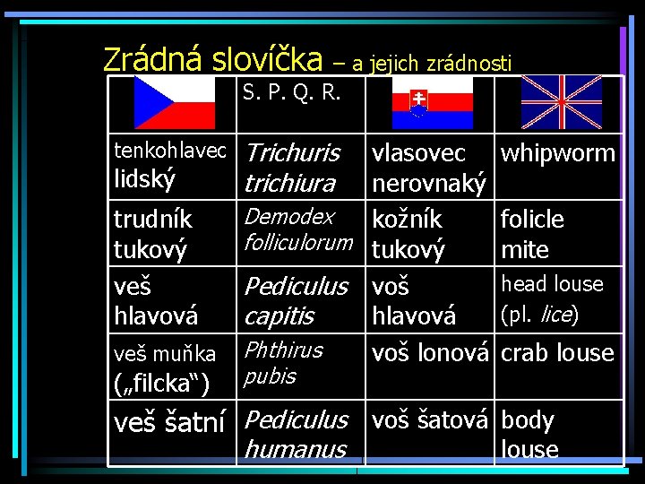 Zrádná slovíčka – a jejich zrádnosti S. P. Q. R. tenkohlavec lidský trudník tukový