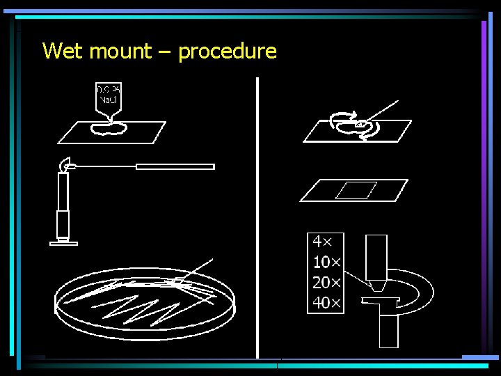 Wet mount – procedure 