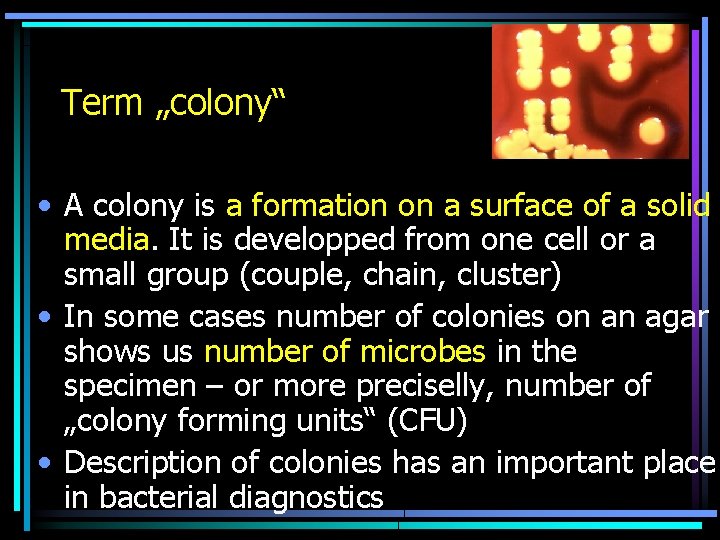 Term „colony“ • A colony is a formation on a surface of a solid