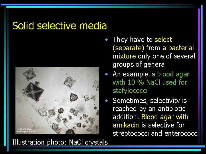 Solid selective media • They have to select (separate) from a bacterial mixture only