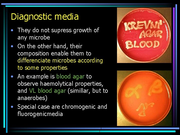 Diagnostic media • They do not supress growth of any microbe • On the