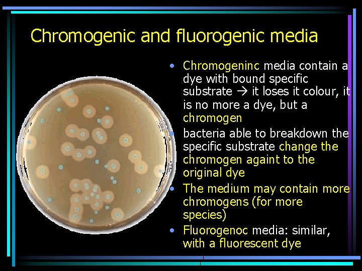 Chromogenic and fluorogenic media • Chromogeninc media contain a dye with bound specific substrate