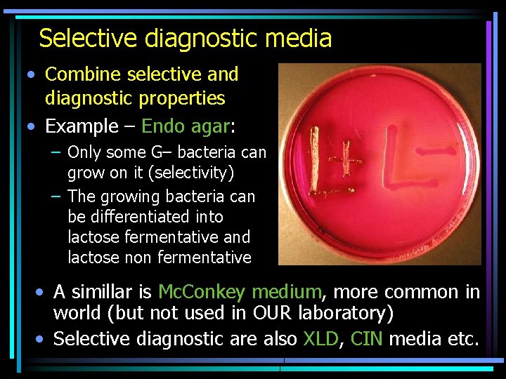 Selective diagnostic media • Combine selective and diagnostic properties • Example – Endo agar: