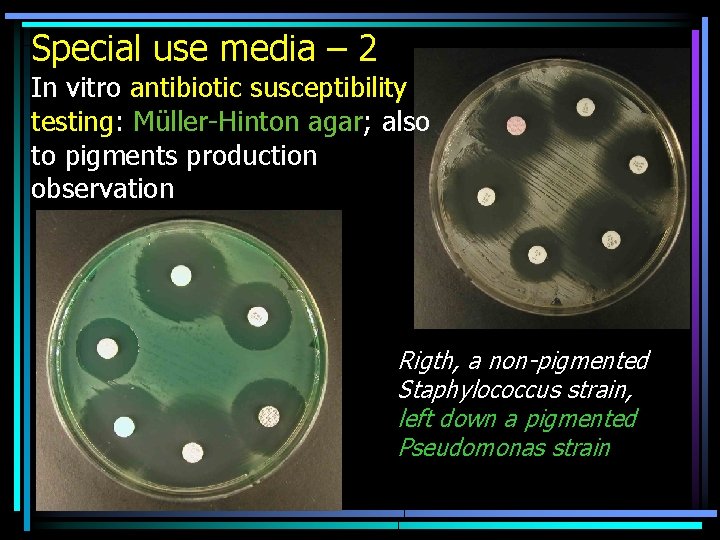 Special use media – 2 In vitro antibiotic susceptibility testing: Müller-Hinton agar; also to