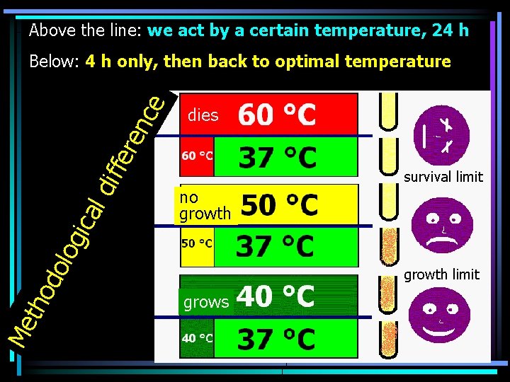 Above the line: we act by a certain temperature, 24 h dies survival limit