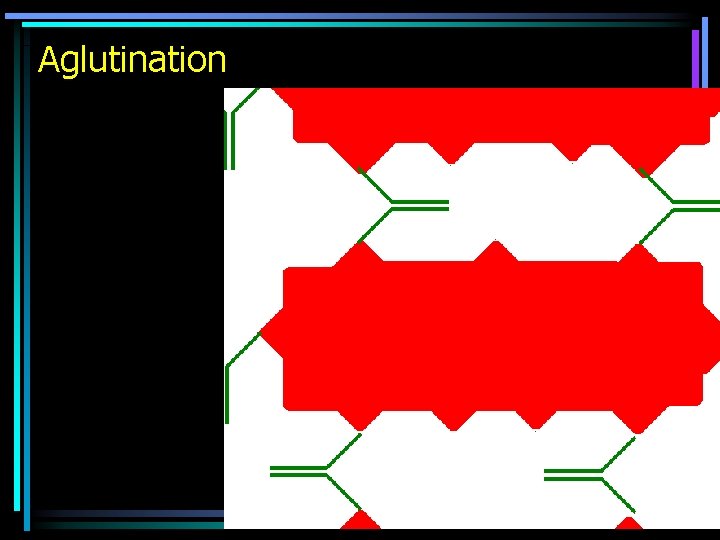 Aglutination 