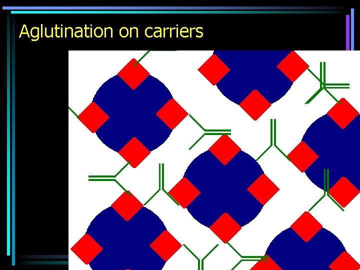 Aglutination on carriers 