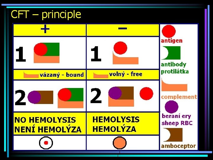 CFT – principle 