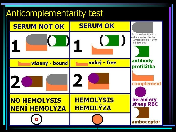 Anticomplementarity test 