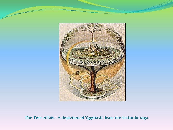 The Tree of Life : A depiction of Yggdrasil, from the Icelandic saga 