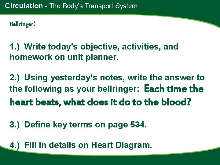 Circulation - The Body’s Transport System Bellringer: 1. ) Write today’s objective, activities, and