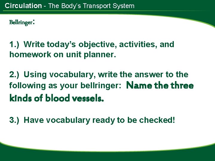 Circulation - The Body’s Transport System Bellringer: 1. ) Write today’s objective, activities, and