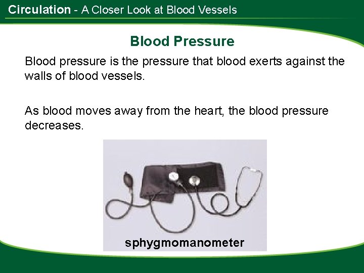 Circulation - A Closer Look at Blood Vessels Blood Pressure Blood pressure is the