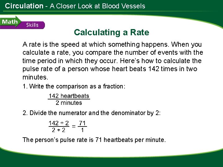 Circulation - A Closer Look at Blood Vessels Calculating a Rate A rate is