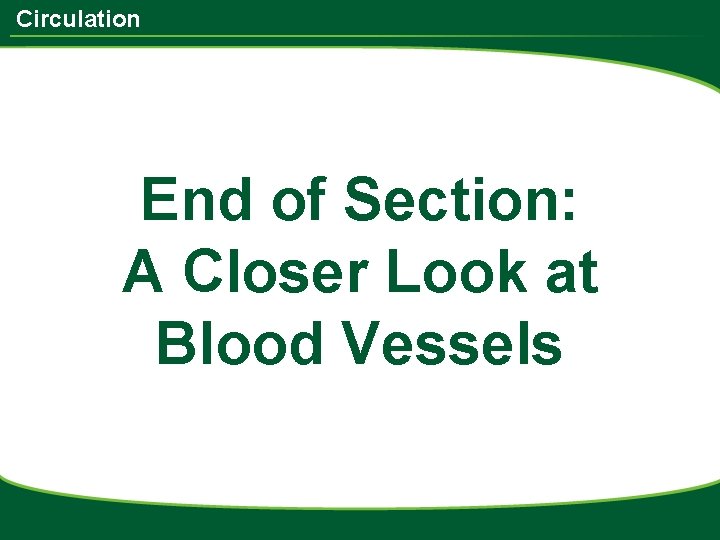 Circulation End of Section: A Closer Look at Blood Vessels 