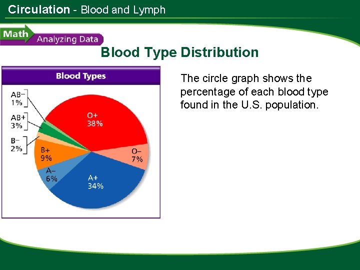 Circulation - Blood and Lymph Blood Type Distribution The circle graph shows the percentage