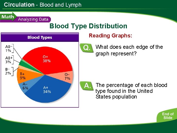 Circulation - Blood and Lymph Blood Type Distribution Reading Graphs: What does each edge