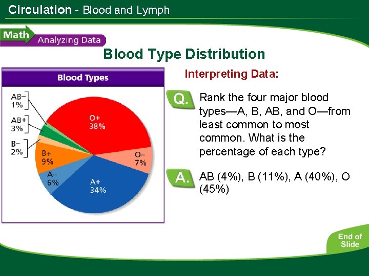 Circulation - Blood and Lymph Blood Type Distribution Interpreting Data: Rank the four major