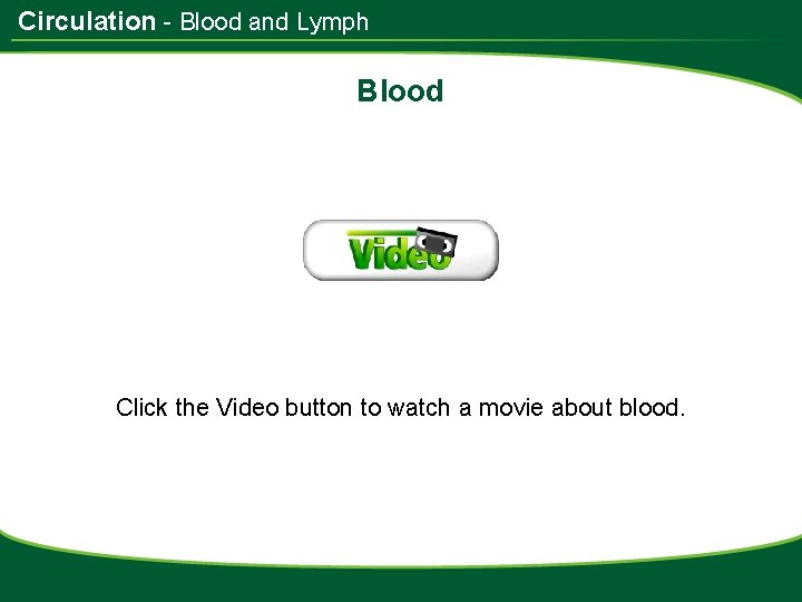 Circulation - Blood and Lymph Blood Click the Video button to watch a movie