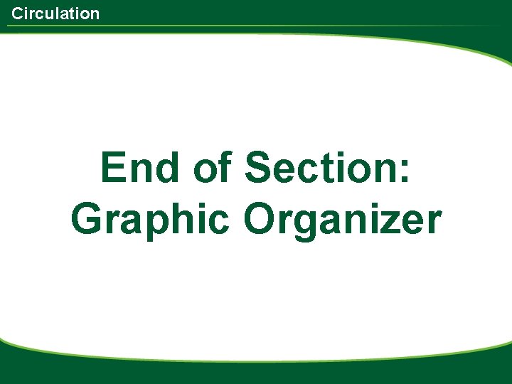 Circulation End of Section: Graphic Organizer 