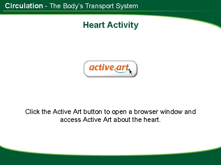 Circulation - The Body’s Transport System Heart Activity Click the Active Art button to