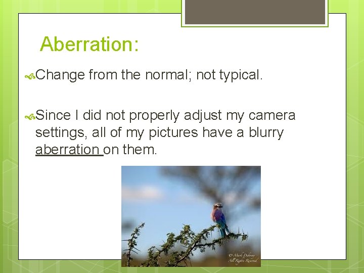 Aberration: Change Since from the normal; not typical. I did not properly adjust my