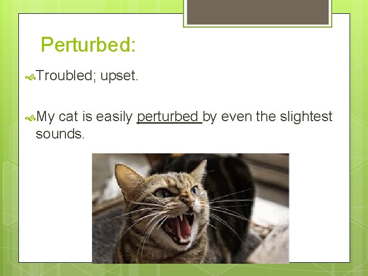 Perturbed: Troubled; My upset. cat is easily perturbed by even the slightest sounds. 