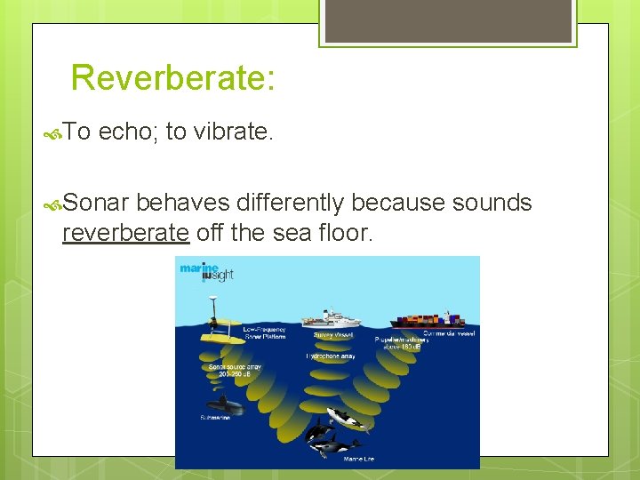 Reverberate: To echo; to vibrate. Sonar behaves differently because sounds reverberate off the sea
