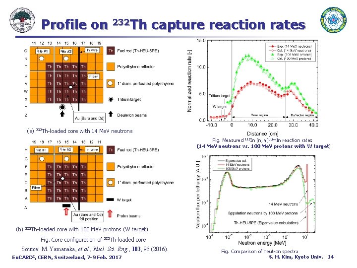 Profile on 232 Th capture reaction rates (a) 232 Th-loaded core with 14 Me.