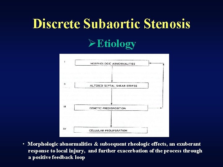 Discrete Subaortic Stenosis ØEtiology • Morphologic abnormalities & subsequent rheologic effects, an exuberant response