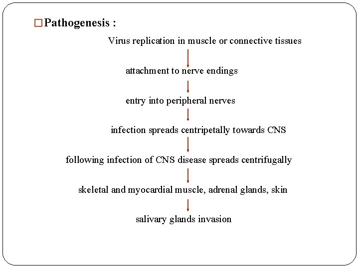 � Pathogenesis : Virus replication in muscle or connective tissues attachment to nerve endings