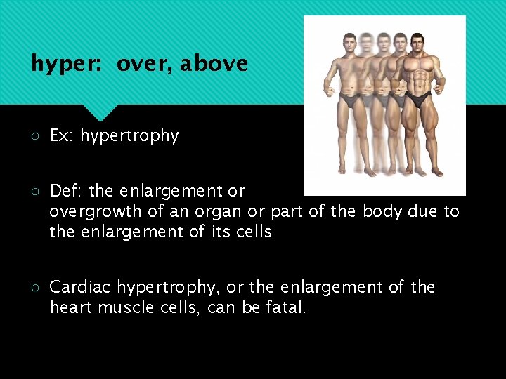 hyper: over, above ○ Ex: hypertrophy ○ Def: the enlargement or overgrowth of an