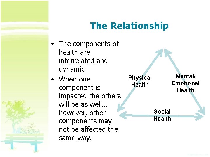 The Relationship • The components of health are interrelated and dynamic • When one