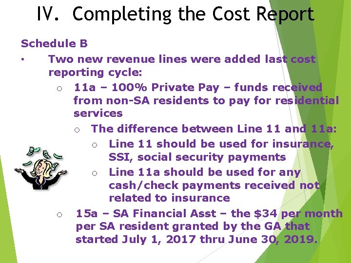 IV. Completing the Cost Report Schedule B • Two new revenue lines were added