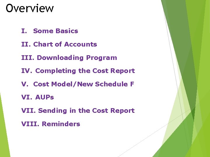 Overview I. Some Basics II. Chart of Accounts III. Downloading Program IV. Completing the