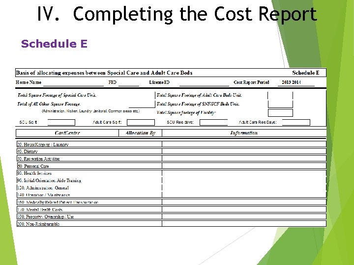 IV. Completing the Cost Report Schedule E 