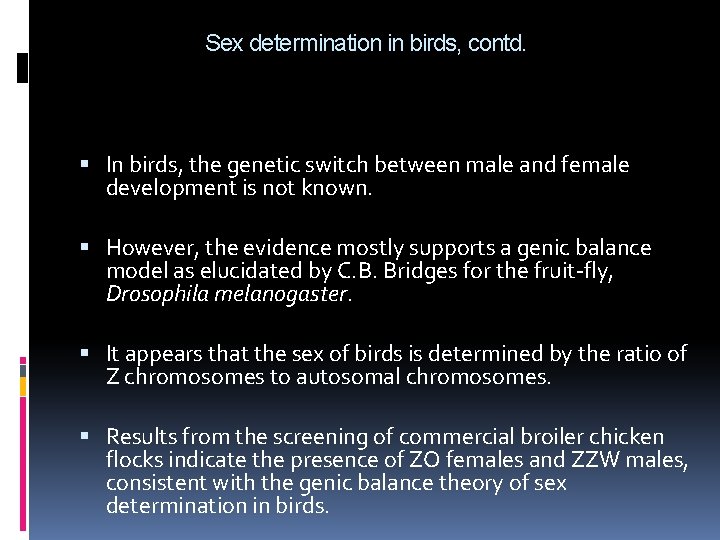Sex determination in birds, contd. In birds, the genetic switch between male and female