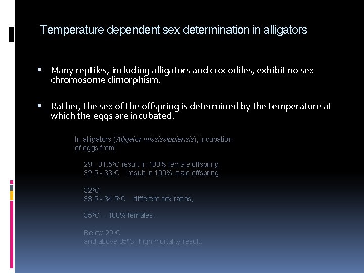Temperature dependent sex determination in alligators Many reptiles, including alligators and crocodiles, exhibit no