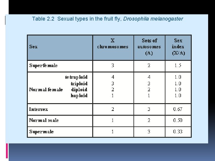 Table 2. 2 Sexual types in the fruit fly, Drosophila melanogaster 